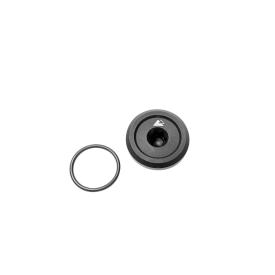 Torx T50 Oil Filler Cap, BMW R1300GS / ADV, G310GS, S1000 Product Thumbnail